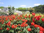 IMG_3127.jpg