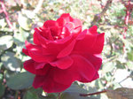 IMG_3210.jpg