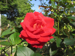 IMG_3219.jpg