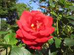 IMG_3224.jpg