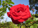 IMG_3241.jpg