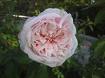 IMG_3257.jpg