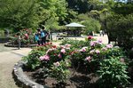 IMG_3407a.jpg