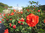 IMG_3623.jpg