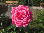 IMG_3629.jpg
