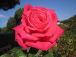 IMG_3644.jpg