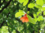 IMG_3656a.jpg