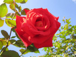 IMG_3678.jpg