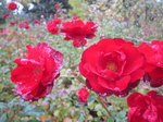 IMG_4044.jpg