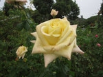 IMG_4086.jpg
