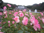 IMG_4100.jpg