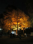 IMG_4942.jpg