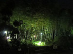 IMG_4944.jpg