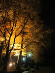 IMG_4948.jpg