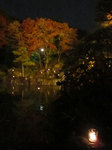 IMG_4965.jpg