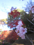IMG_4974.jpg