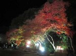 IMG_5821.jpg