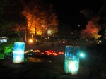 IMG_5833.jpg