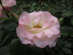 IMG_6847.jpg