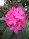 IMG_6887.jpg