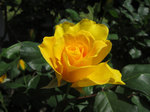 IMG_7076.jpg