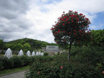 IMG_7108.jpg