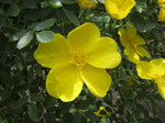 IMG_7117.jpg