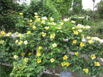 IMG_7132.jpg
