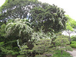 IMG_7135.jpg