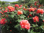 IMG_7285.jpg