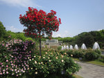 IMG_7319.jpg