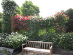 IMG_7363.jpg