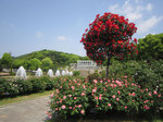 IMG_7393.jpg