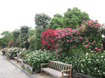 IMG_7605.jpg