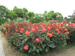 IMG_7619.jpg