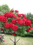 IMG_7629.jpg