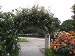IMG_7655.jpg
