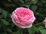 IMG_7661.jpg
