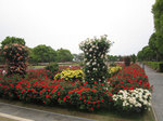 IMG_7662.jpg