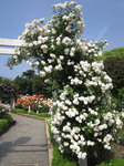 IMG_8007.jpg