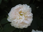 IMG_8010.jpg