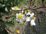 IMG_8016.jpg