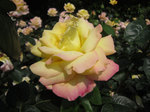 IMG_8026.jpg