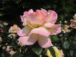 IMG_8029.jpg