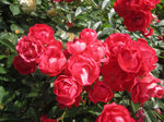 IMG_8038.jpg
