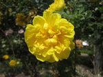 IMG_8059.jpg