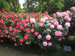 IMG_8108.jpg
