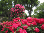 IMG_8123.jpg