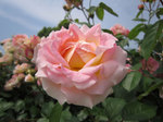 IMG_8137.jpg