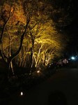 IMG_8297.jpg